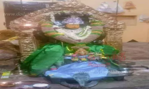 அம்மன் சிலை முன் படம் எடுத்து ஆடிய நாகப்பாம்பு