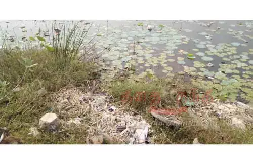 ஏகணிவயல் பெரிய ஏரியில் கொட்டப்படும் மருத்துவக்கழிவுகளால் தொற்று நோய் பரவும் அபாயம்