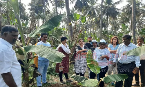 வாழை சாகுபடி குறித்து கேட்டறிந்த வெளிநாட்டு ஆராய்ச்சியாளர்கள்