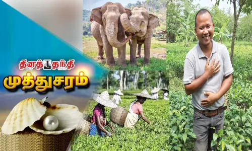 யானை வீரன்!