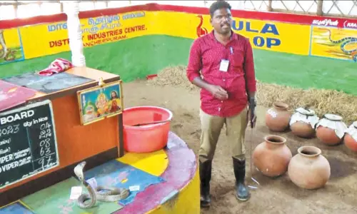 வடநெம்மேலி பாம்பு பண்ணை மீண்டும் மக்கள் பார்வைக்கு திறப்பு