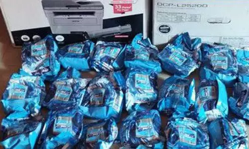 திருவெண்ணெய்நல்லூர் பகுதியில் 725 புகையிலை பாக்கெட்டுகள் பறிமுதல்; வாலிபர் கைது