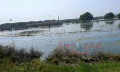 வெள்ளரி விவசாயம் செய்ய முடியாமல் விவசாயிகள் அவதி