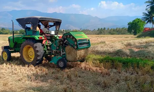 கேரளாவுக்கு விற்பனை செய்யப்படும் வைக்கோல்