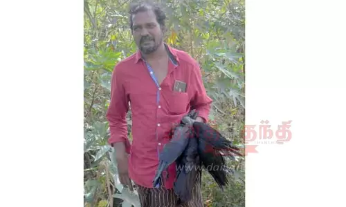 காகங்களை விஷம் வைத்து கொன்ற ஆசாமி