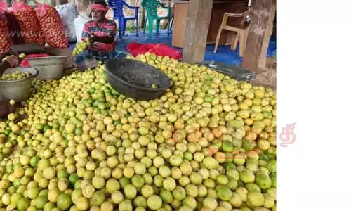 எலுமிச்சை பழம் கிலோ ரூ.80-க்கு விற்பனை