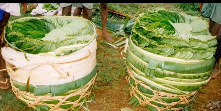 உற்பத்தி குறைவால் வெற்றிலை விலை கிடுகிடுவென உயர்வு