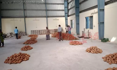 ரூ.52 ஆயிரத்துக்கு தேங்காய் ஏலம்