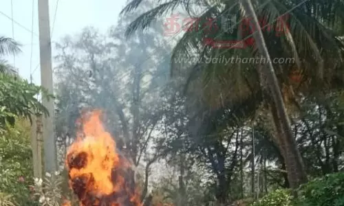 மின்கம்பியில் உரசி டிராக்டரில் இருந்த வைக்கோல் தீப்பிடித்தது