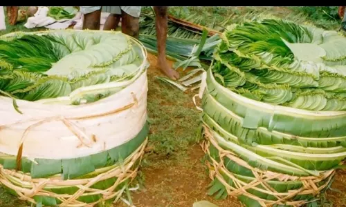 உற்பத்தி குறைவால் வெற்றிலை விலை கிடுகிடுவென உயர்வு உற்பத்தி குறைவால் வெற்றிலை விலை கிடுகிடுவென உயர்வு