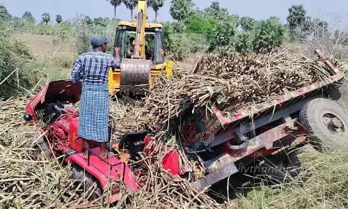 கரும்பு ஏற்றிச்சென்ற டிராக்டர் கவிழ்ந்து கல்லூரி மாணவர் காயம்
