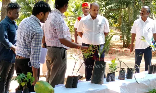 தோட்டக்கலை பண்ணையில் செடிகள், விதைகள் உற்பத்தி பணிகளை கலெக்டர் நேரில் ஆய்வு