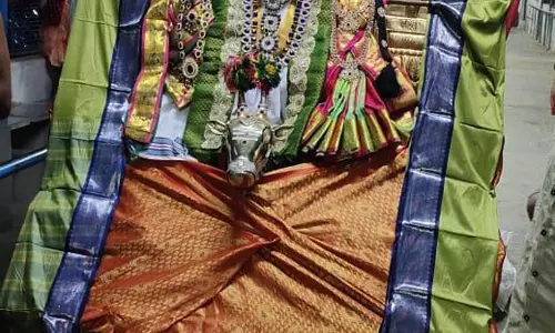 காசிவிஸ்வநாதர் கோவிலில் பல்லக்கு தேர்திருவிழா