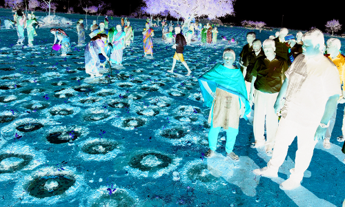 12¾ லட்சம் மரக்கன்றுகள் நடவு