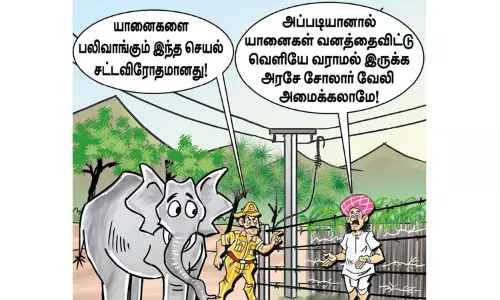 மின்சாரம் தாக்கி 89 யானைகள் உயிரிழப்பு மின்சாரம் தாக்கி 89 யானைகள் உயிரிழப்பு