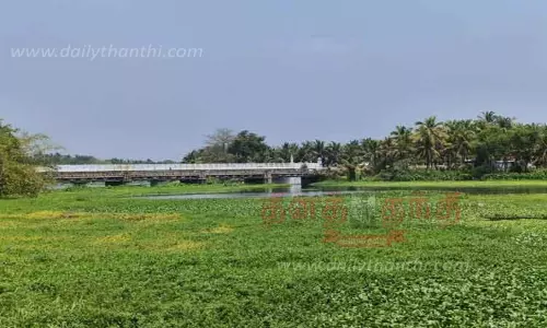 ஆனைமலை ஆழியாற்றை ஆக்கிரமித்த ஆகாயத்தாமரை