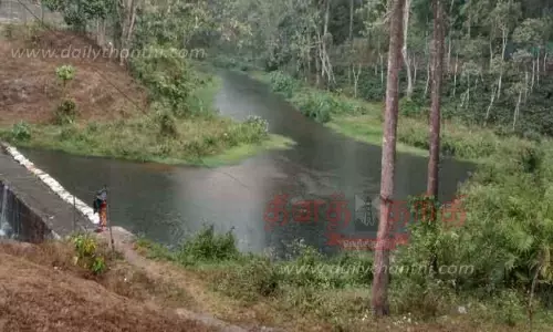 வால்பாறையில் பலத்த மழை-நீரோடையில் தண்ணீர் வரத்து அதிகரிப்பு