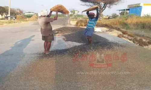 சூரியகாந்தி விதைகளை சாலைகளில் உலர்த்தும் விவசாயிகள்