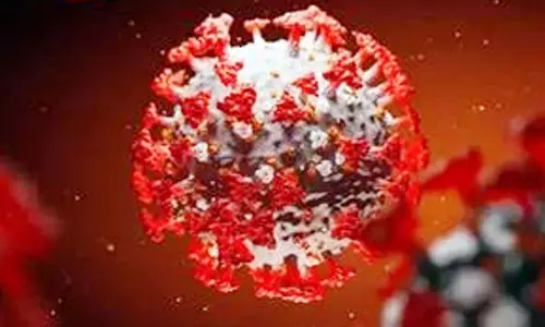 5 குழந்தைகள் உள்பட 26 பேருக்கு வைரஸ் காய்ச்சல் 5 குழந்தைகள் உள்பட 26 பேருக்கு வைரஸ் காய்ச்சல்