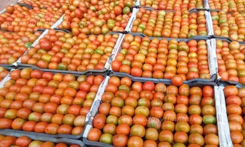 தக்காளி விலை குறைந்தது