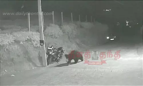 சாலையில் உலா வந்த கரடி