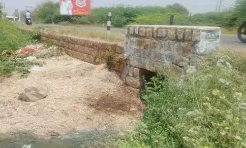 குளத்தில் கொட்டப்படும் இறைச்சி கழிவுகள்