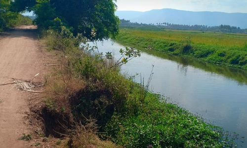 கம்பம் அருகேஉத்தமுத்து கால்வாய் கரைகள் சேதம் :சீரமைக்க விவசாயிகள் கோரிக்கை