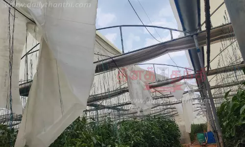 ஓசூர் பகுதியில்கனமழைக்கு பசுமை குடில்கள் சேதம்மலர் சாகுபடியாளர்கள் கவலை