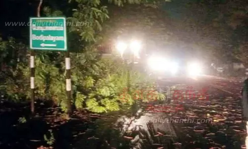 3 இடங்களில் மரம் விழுந்து போக்குவரத்து பாதிப்பு