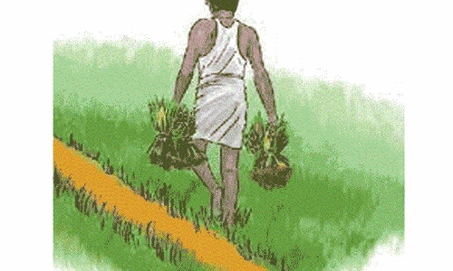 பட்டுக்கோட்டையில், பலத்த மழை