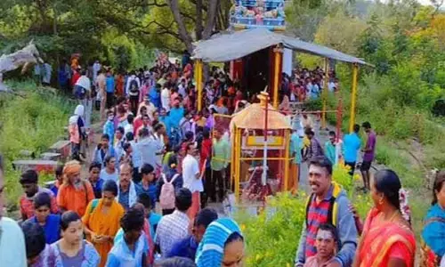 சதுரகிரி மலைக்கோவிலில் பங்குனி மாத பிரதோஷம்; அதிகாலை முதலே ஆயிரக்கணக்கான பக்தர்கள் மலையேறி சாமி தரிசனம் சதுரகிரி மலைக்கோவிலில் பங்குனி மாத பிரதோஷம்; அதிகாலை முதலே ஆயிரக்கணக்கான பக்தர்கள் மலையேறி சாமி தரிசனம்