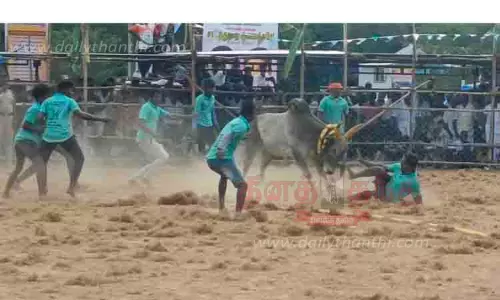 வடமாடு மஞ்சுவிரட்டில் 5 வீரர்கள் காயம் வடமாடு மஞ்சுவிரட்டில் 5 வீரர்கள் காயம்