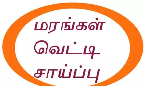 சந்தனம், செம்மரங்கள் வெட்டி சாய்ப்பு