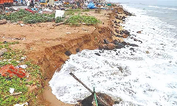 நெய்தல் மீட்பு இயக்கம்