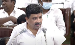 அனைத்து அரசு துறை சேவை முகாம்