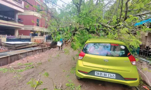 மழைநீர் கால்வாய் பணியின்போது மரம் சரிந்து விழுந்ததில் கார் சேதம்
