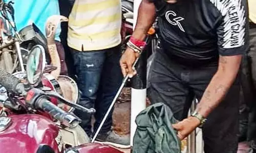 மோட்டார் சைக்கிளில் பதுங்கி இருந்த பாம்பு பிடிபட்டது மோட்டார் சைக்கிளில் பதுங்கி இருந்த பாம்பு பிடிபட்டது