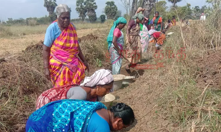 100 நாள் வேலைத்திட்டத்தில் வாய்க்கால்களை தூர்வாரும் பணிக்கு முன்னுரிமை