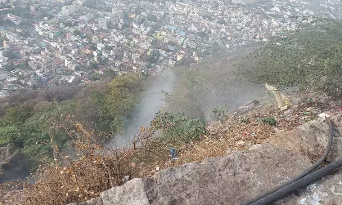 திருச்செங்கோடு அர்த்தநாரீஸ்வரர் மலையில் திடீர் தீ