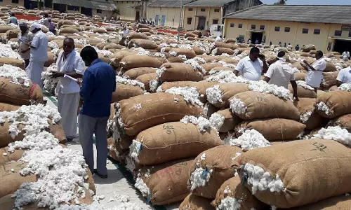 நாமக்கல்லில் ரூ.1 கோடிக்கு பருத்தி ஏலம்