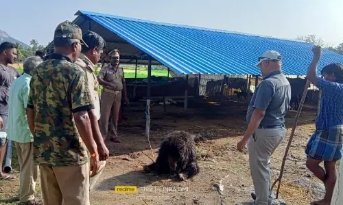 பொதுமக்களை அச்சுறுத்தி வந்த கரடி சிக்கியது