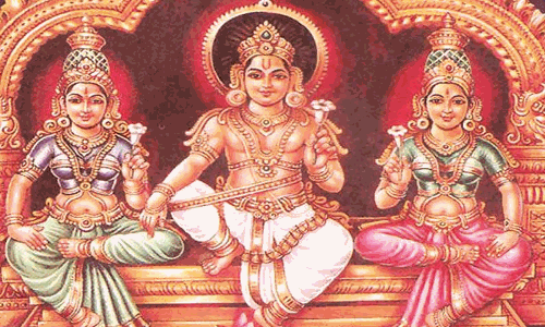 பட்டுக்கோட்டை அடைக்கலம் காத்த அய்யனார் கோவில் பங்குனி திருவிழா பட்டுக்கோட்டை அடைக்கலம் காத்த அய்யனார் கோவில் பங்குனி திருவிழா