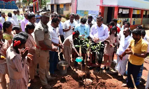 மாவட்டத்தில் வனப்பரப்பை 33 சதவீதமாக அதிகரிக்க நடவடிக்கை மாவட்டத்தில் வனப்பரப்பை 33 சதவீதமாக அதிகரிக்க நடவடிக்கை