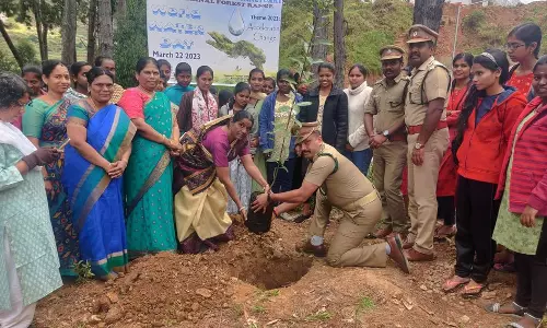 அன்னை தெரசா மகளிர் பல்கலைக்கழகத்தில் மரக்கன்று நடும் விழா