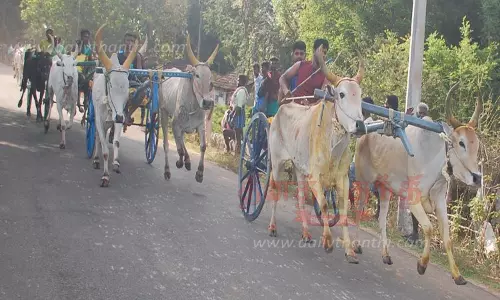இலக்கை நோக்கி சீறி பாய்ந்த மாட்டு வண்டிகள்
