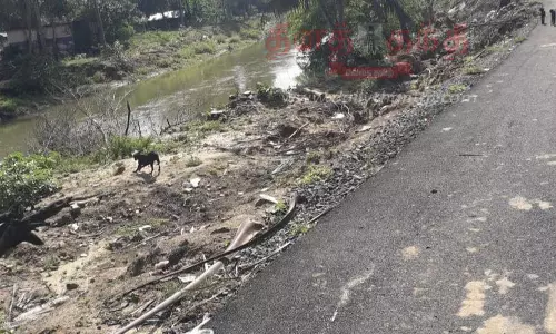 சாலையோரத்தில் ஏற்பட்ட பள்ளங்கள் சீரமைக்கப்படுமா?