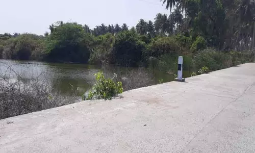 செங்குட்டைபாளையம்-மூட்டாம்பாளையம் இடையே தரைமட்ட பாலத்தில் தடுப்புச்சுவர் அமைக்க வேண்டும்-வாகன ஓட்டிகள் கோரிக்கை