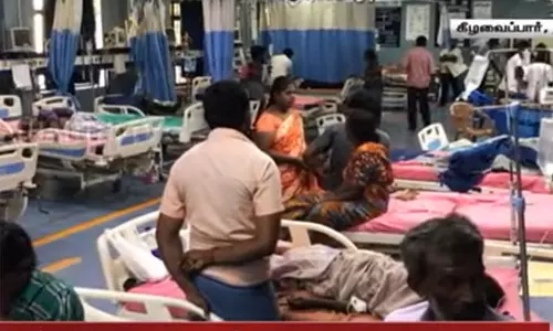 20-க்கும் மேற்பட்டோரை கடித்த வெறிநாய்கள்... தூத்துக்குடியில் பரபரப்பு 20-க்கும் மேற்பட்டோரை கடித்த வெறிநாய்கள்... தூத்துக்குடியில் பரபரப்பு