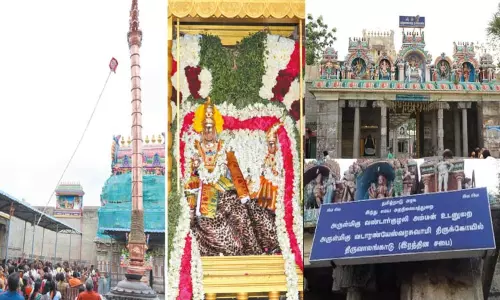 திருவாலங்காடு வடாரண்யேஸ்வரர் கோவிலில் பங்குனி உத்திர விழா