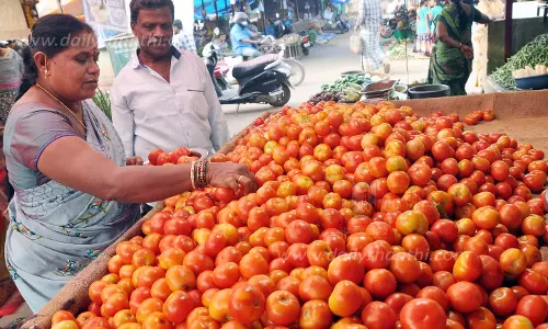 ஈரோடு மார்க்கெட்டில்தக்காளி விலை வீழ்ச்சி; கிலோ ரூ.10-க்கு விற்பனை